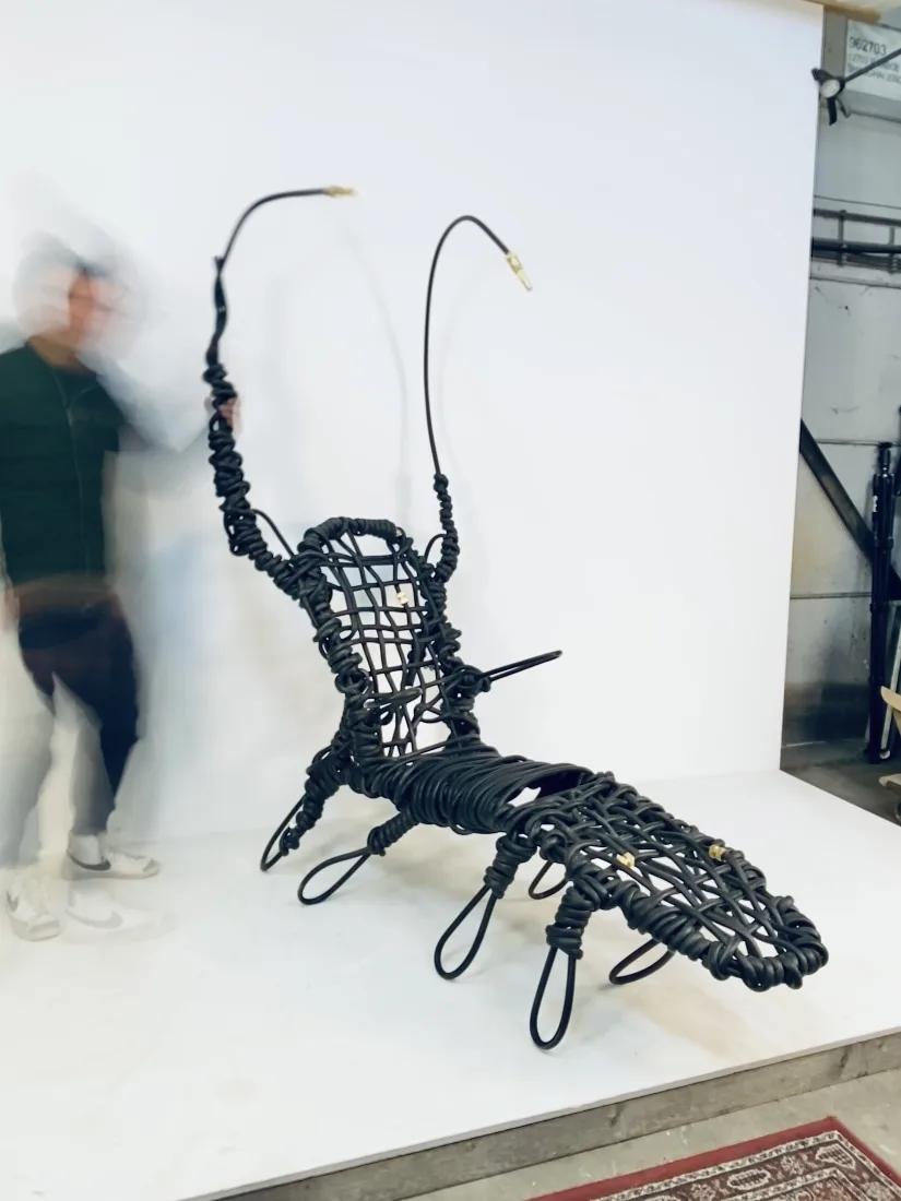 HC Gryllus Martinus Magnus Duplex— No. 01