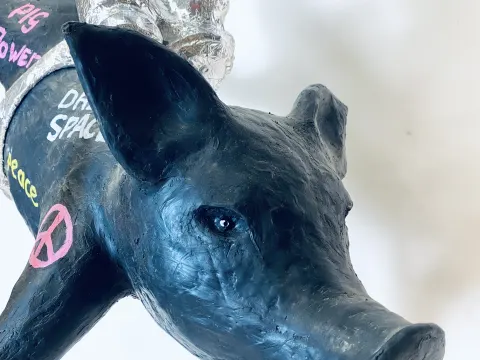 SD El Capitano Piggie #10