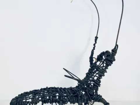 HC Gryllus Martinus Magnus Duplex— No. 01