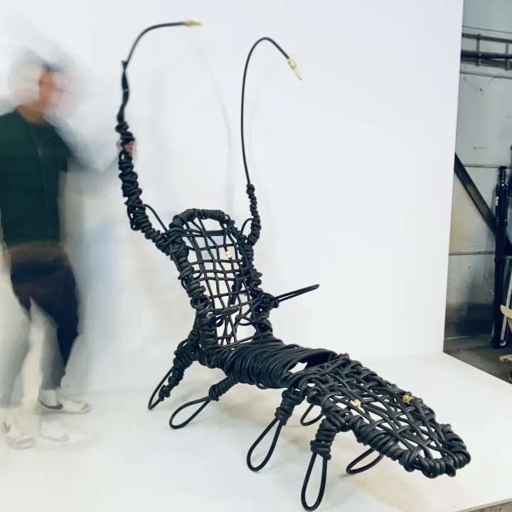 HC Gryllus Martinus Magnus Duplex— No. 01